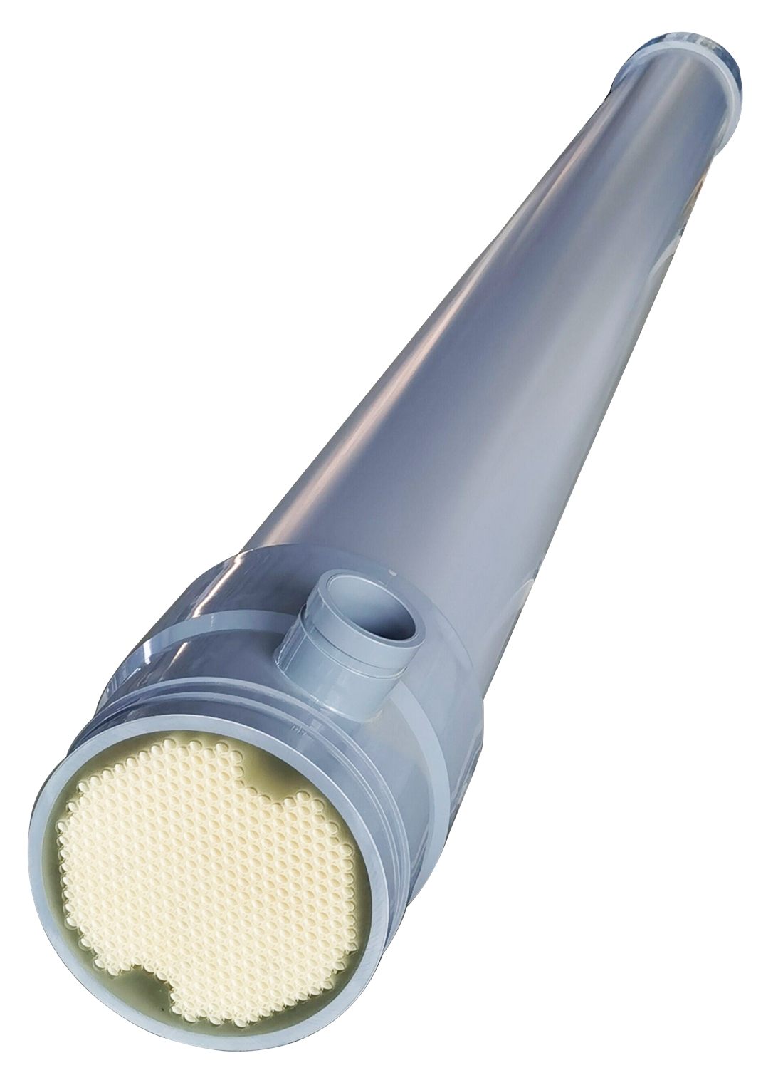 Complete mature Plum PEK tubular membrane module