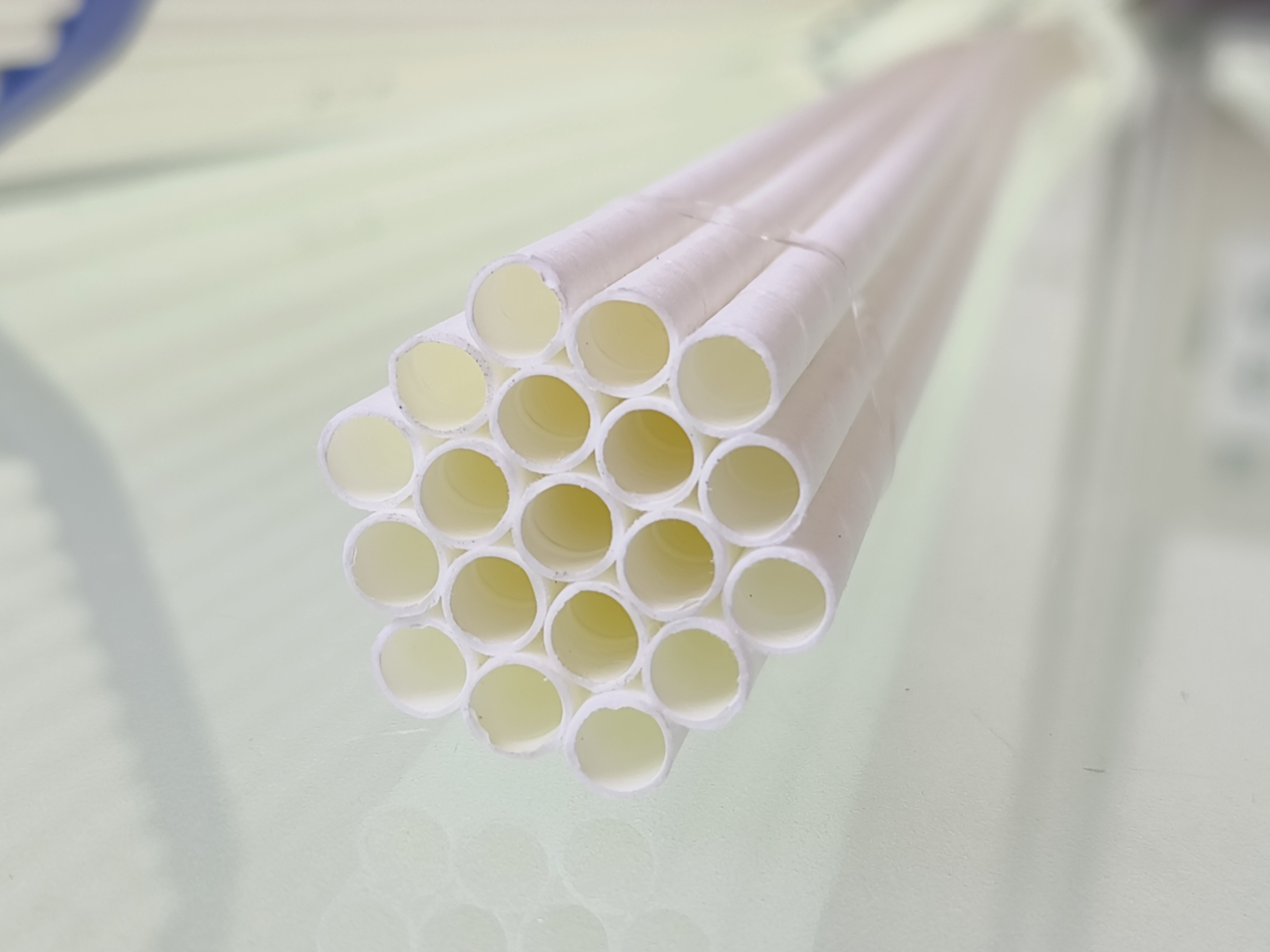 Plum tubular membrane module with multiple flow channels